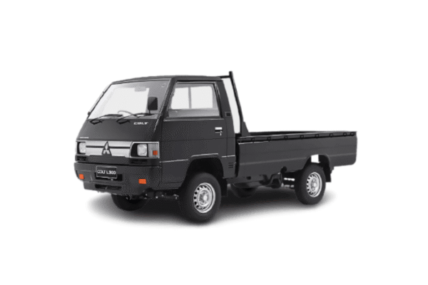 L 300