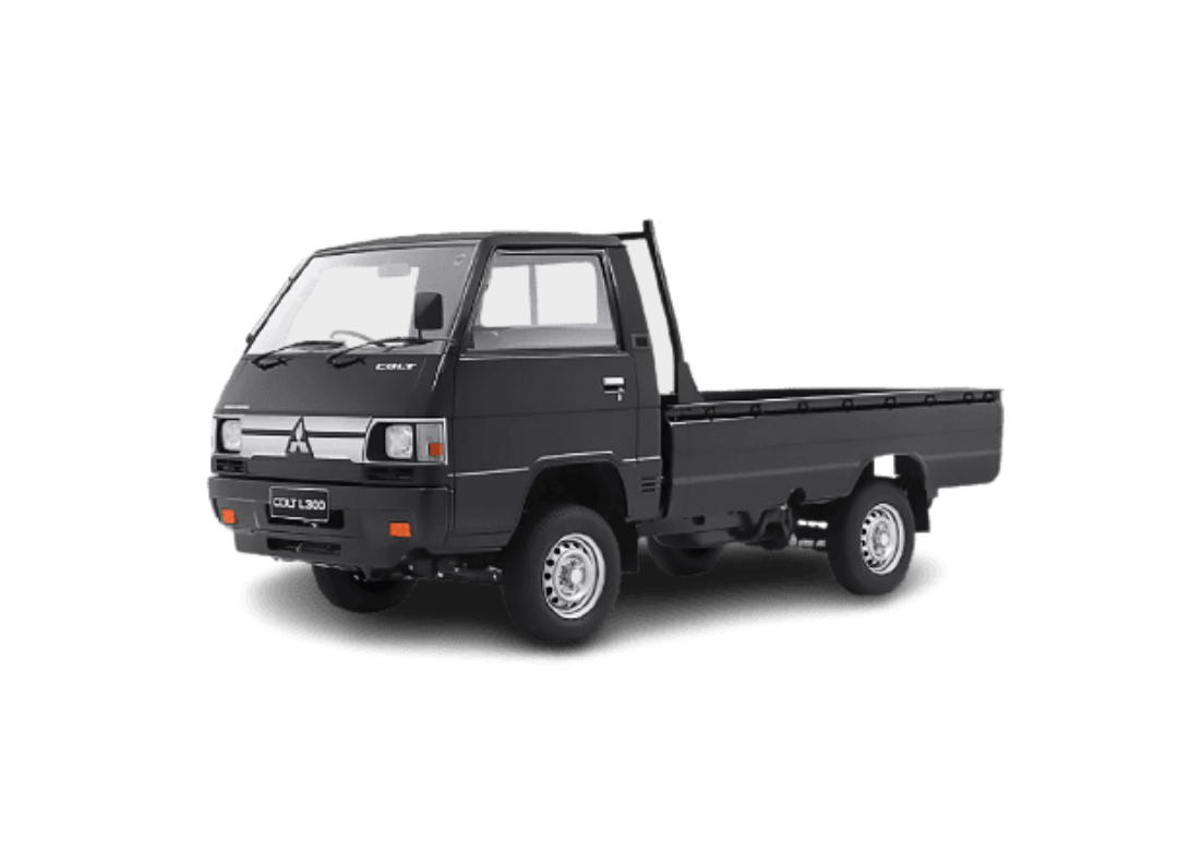 L 300